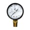 Thrifco Plumbing 60# Water Test Gauge 4402332 - alternate 1